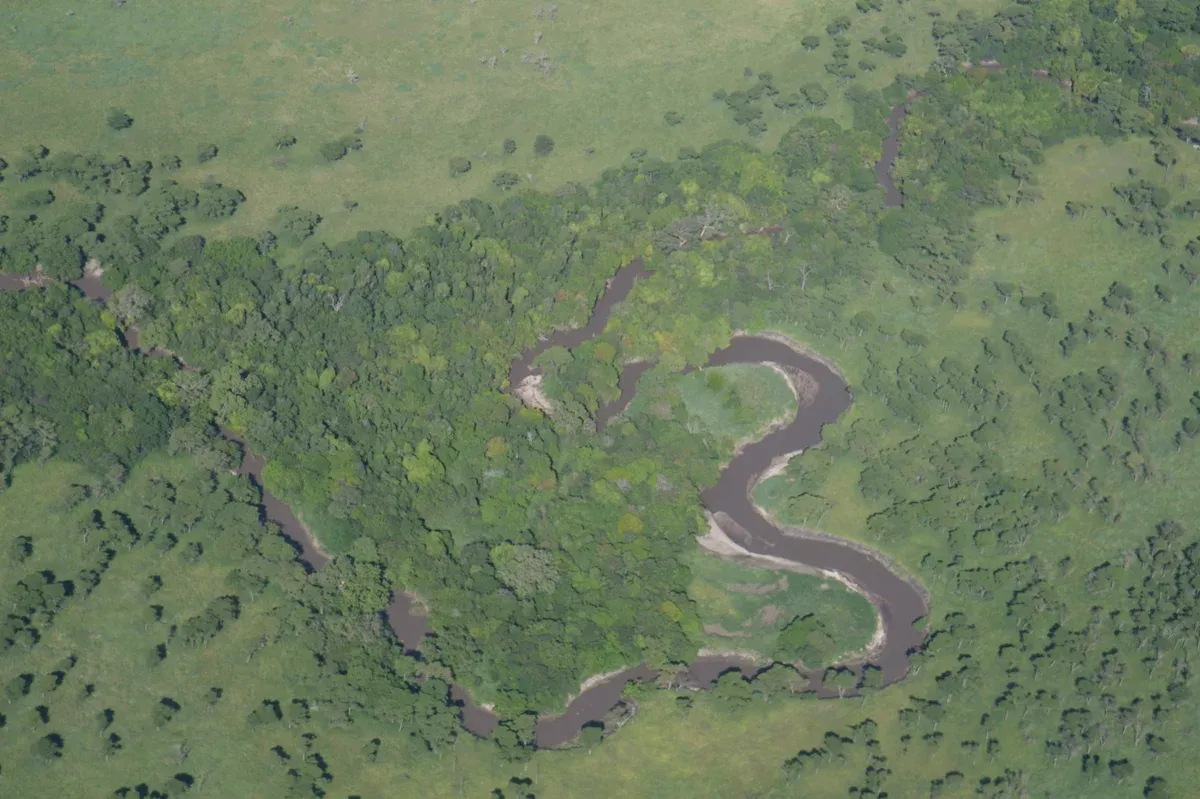 Aerial view of a winding river bordered by woodland in the western Serengeti, on the route of some Serengeti safari packages
